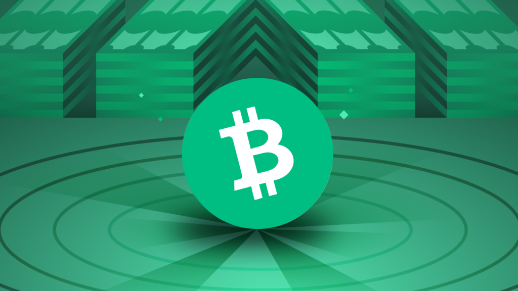 A-Picture-Showing-Bitcoin-Cash-Image