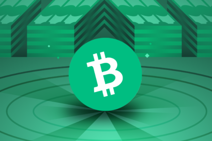 A-Picture-Showing-Bitcoin-Cash-Image