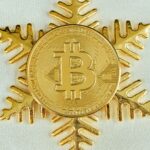 a-picture-showing-Bitcoin (BTC)-coin