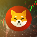 A-Picture-Showing-SHIB-Coin