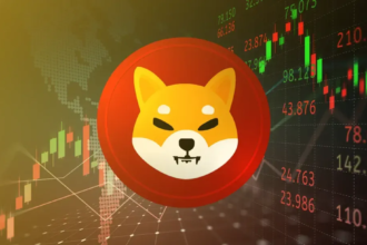 A-Picture-Showing-SHIB-Coin