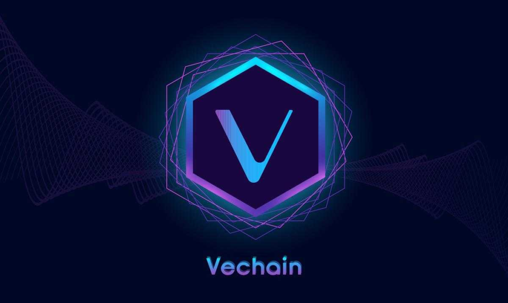 A-PICTURE-SHOWING-VECHAIN
