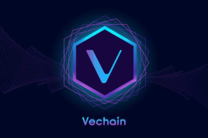 A-PICTURE-SHOWING-VECHAIN