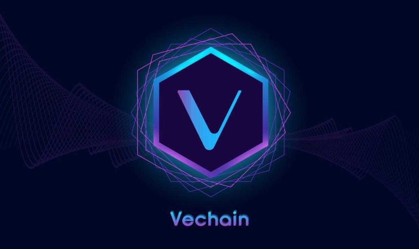 A-PICTURE-SHOWING-VECHAIN