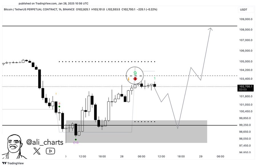 BTC-PRICE-CHART